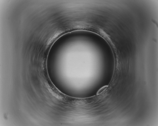 X0000099380106200805151628