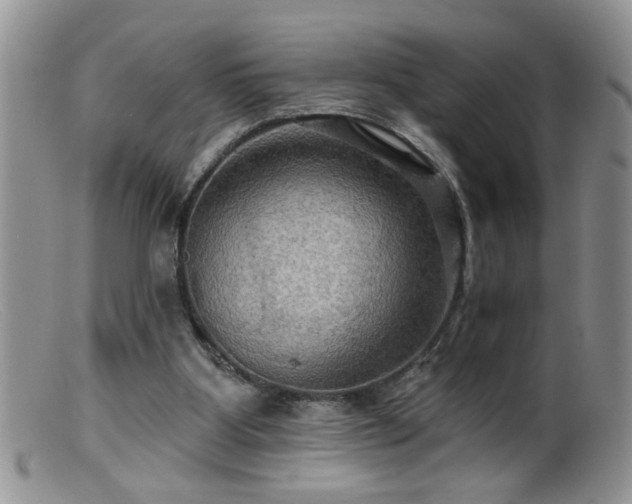 X0000099380107200805151628