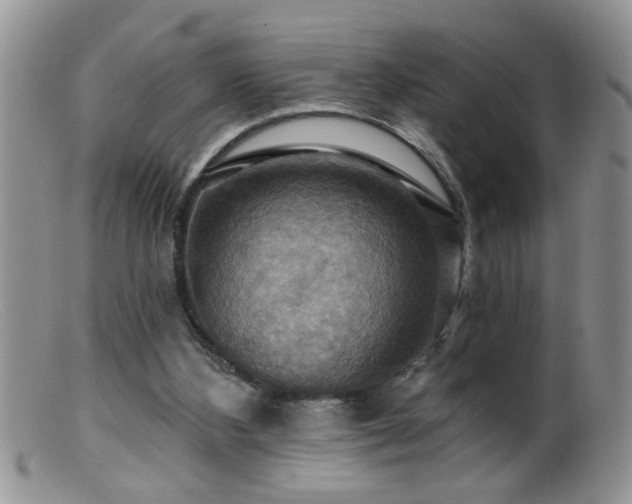 X0000099380108200805151628