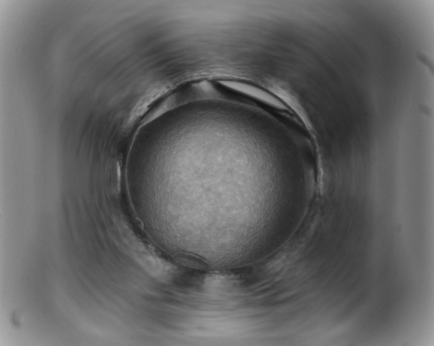 X0000099380109200805151628