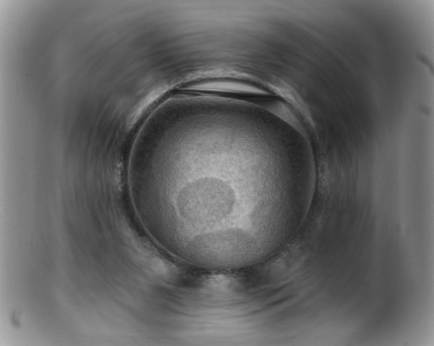 X0000099380111200805151628