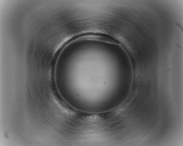 X0000099380112200805151628