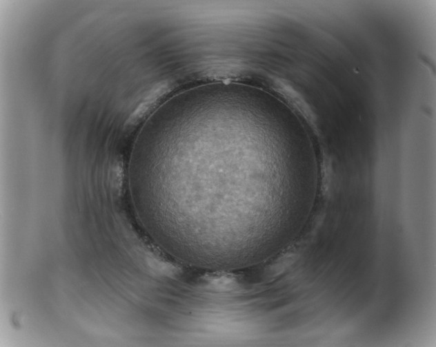 X0000099380113200805151628