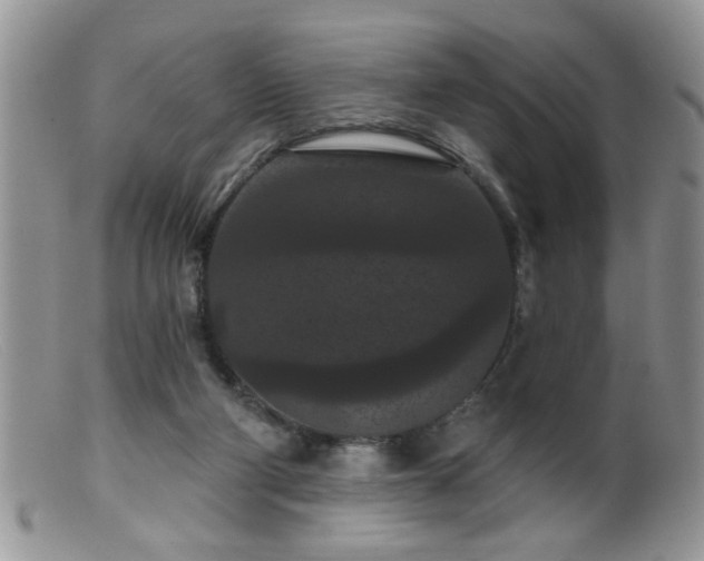 X0000099380114200805151628