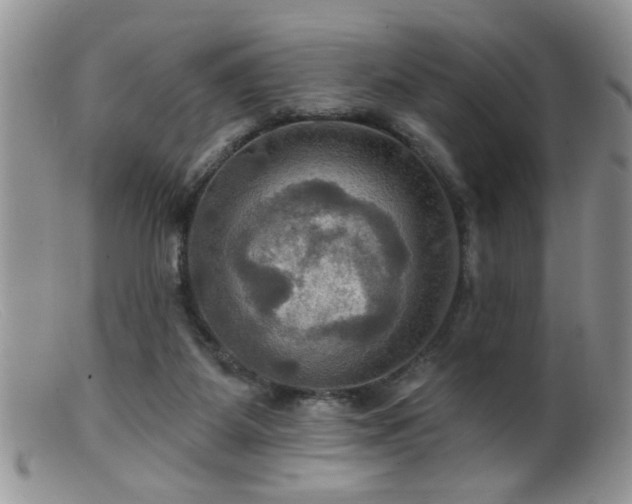 X0000099380115200805151628