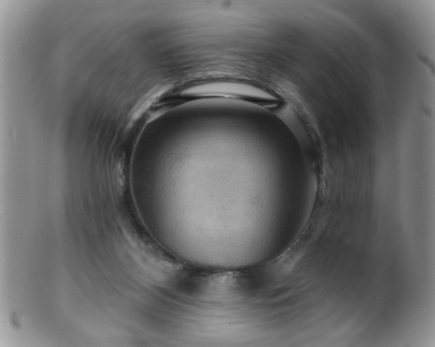 X0000099380116200805151628