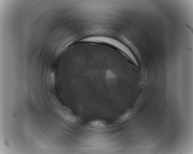 X0000099380117200805151628