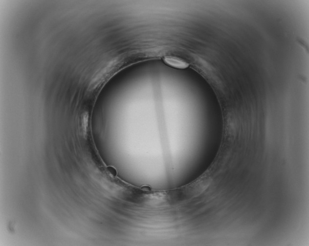 X0000099380118200805151628