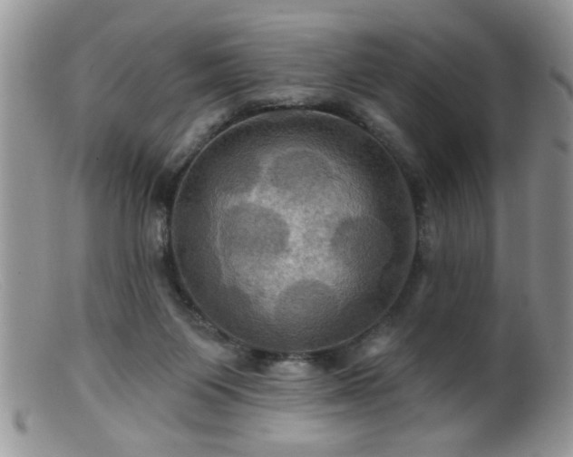 X0000099380119200805151628