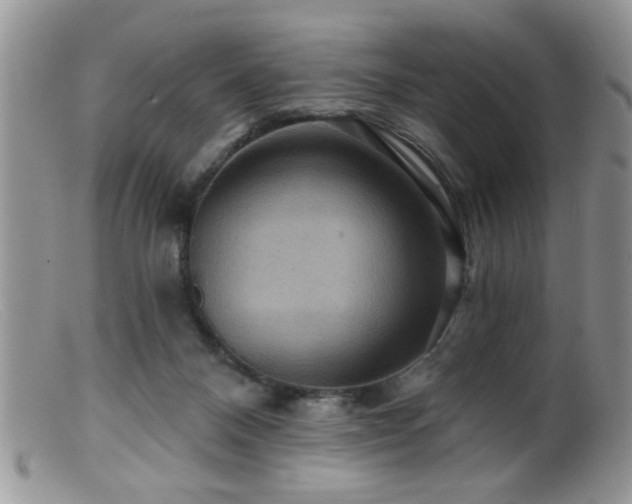 X0000099380120200805151628