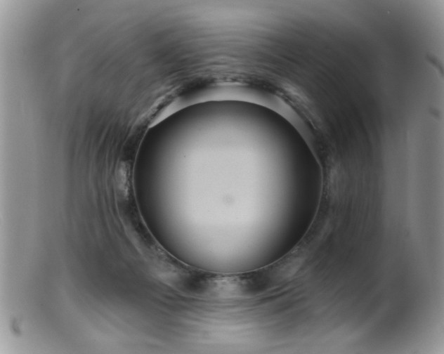 X0000099380121200805151628