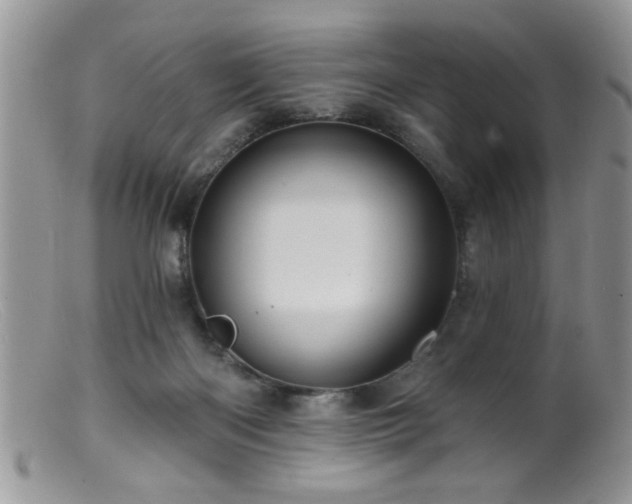 X0000099380122200805151627