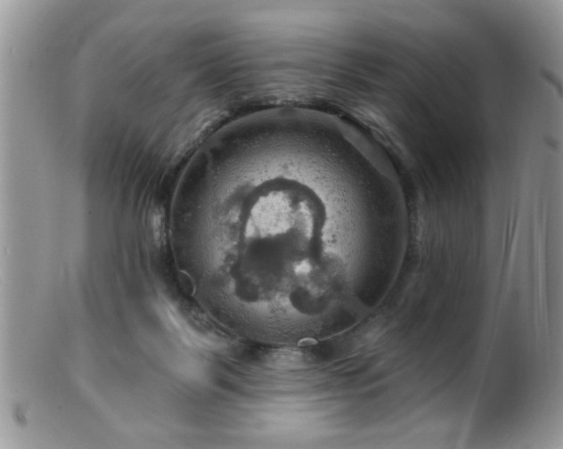 X0000099380123200805151627