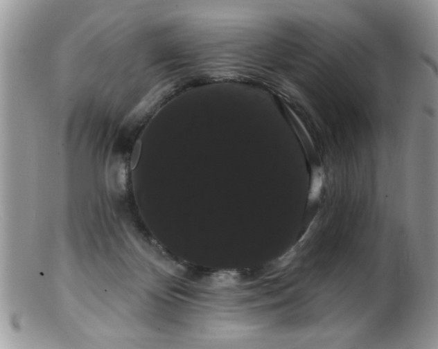 X0000099380124200805151627