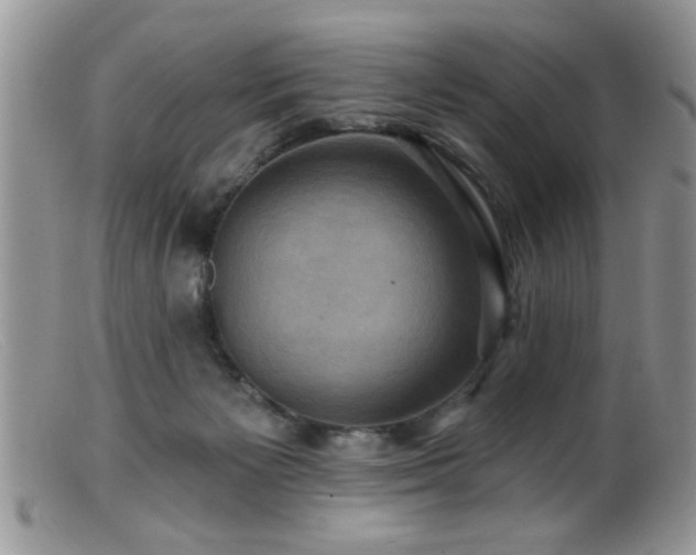 X0000099380125200805151627