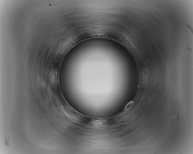 X0000099380126200805151627