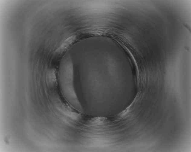 X0000099380128200805151627