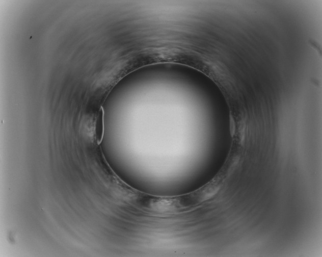 X0000099380129200805151627