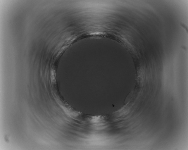 X0000099380130200805151627