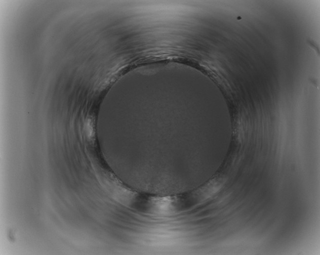 X0000099380131200805151627