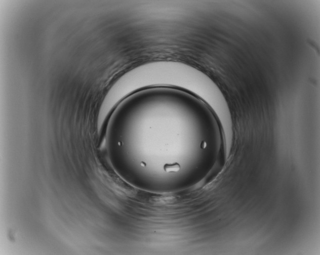 X0000099380132200805151627