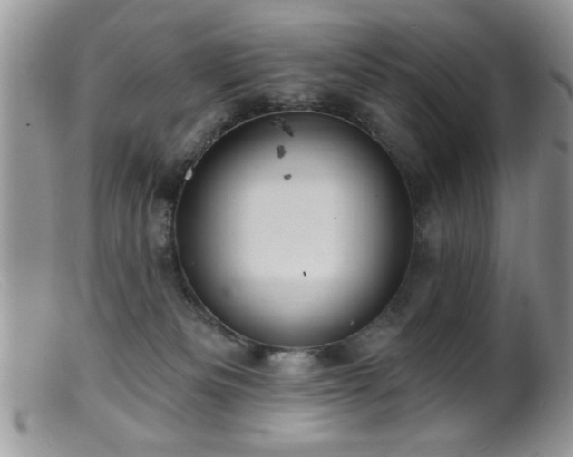 X0000099380133200805151627