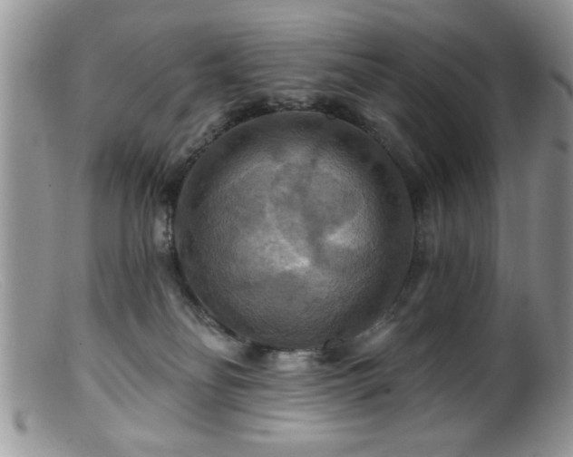 X0000099380134200805151627