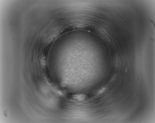 X0000099380135200805151627