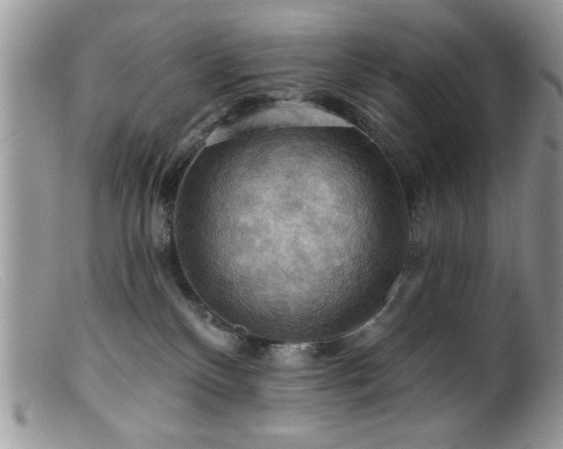 X0000099380136200805151627