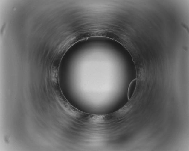 X0000099380138200805151627