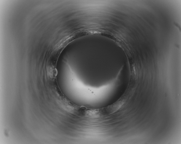 X0000099380139200805151627