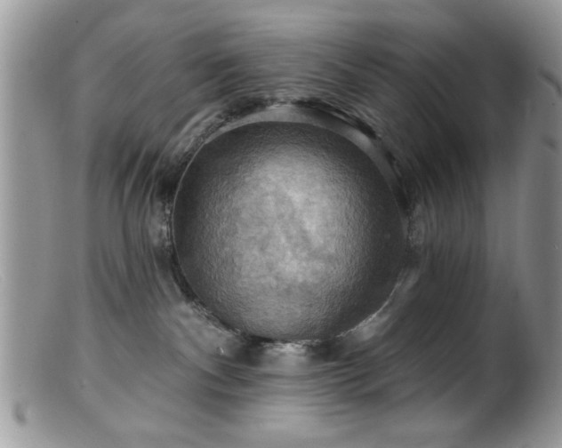 X0000099380140200805151627