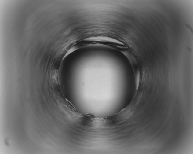 X0000099380141200805151627