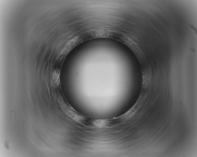 X0000099380142200805151627