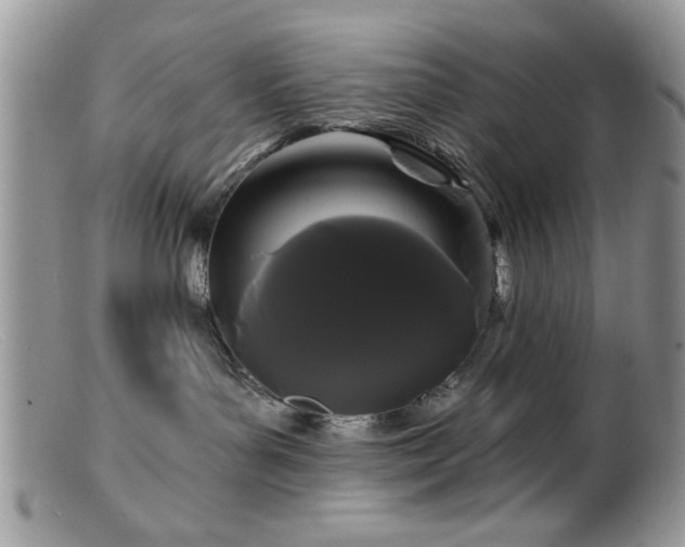 X0000099380143200805151627