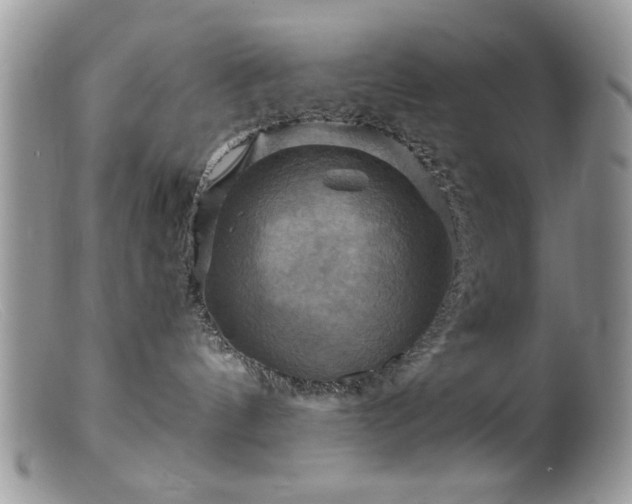 X0000099380144200805151627