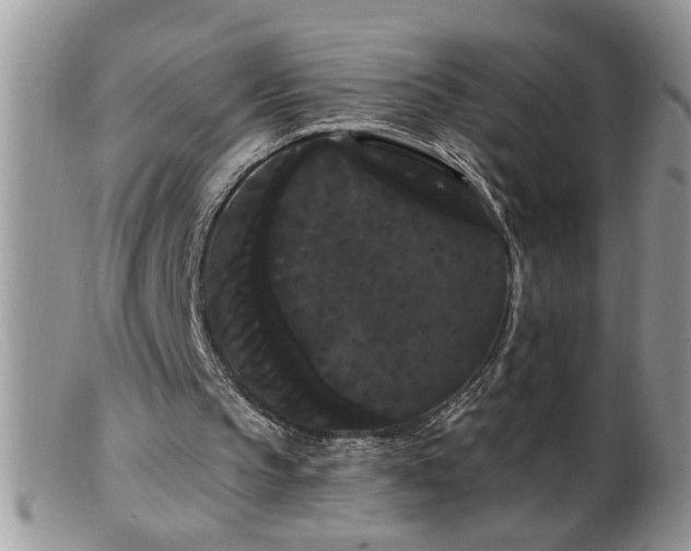 X0000099380145200805151627