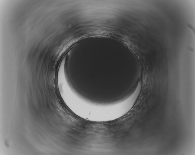 X0000099380146200805151627