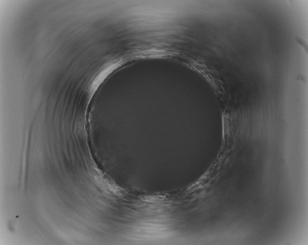 X0000099380147200805151627