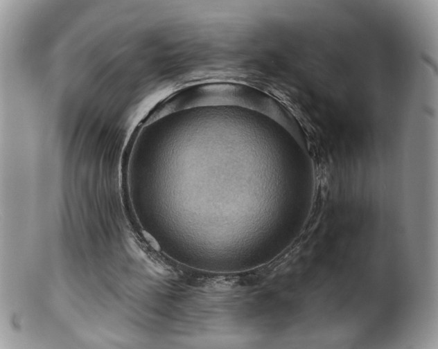 X0000099380148200805151627