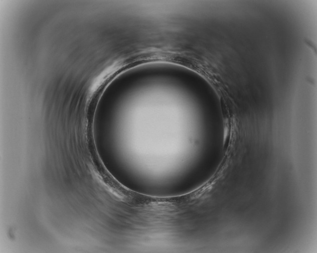 X0000099380150200805151627