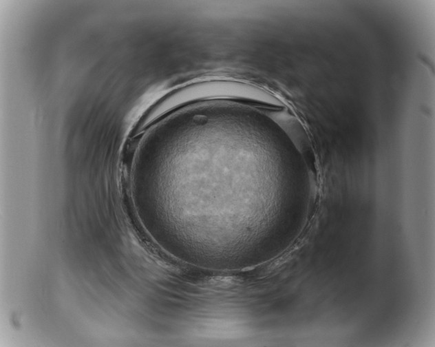 X0000099380152200805151627