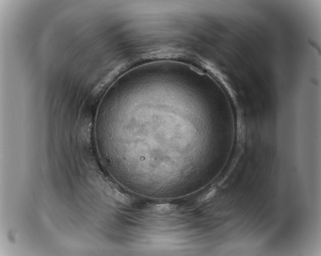 X0000099380153200805151627