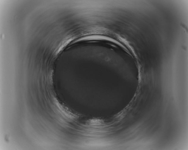 X0000099380154200805151627