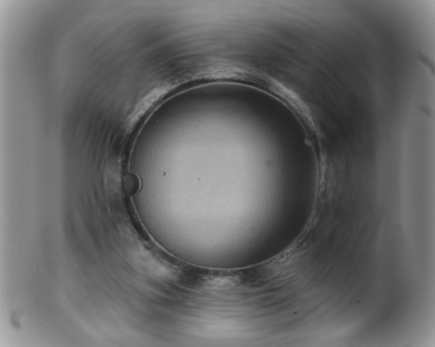 X0000099380155200805151627