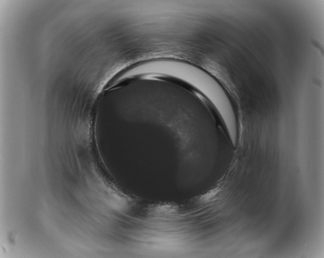 X0000099380156200805151627