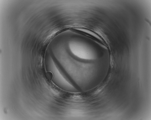 X0000099380157200805151627