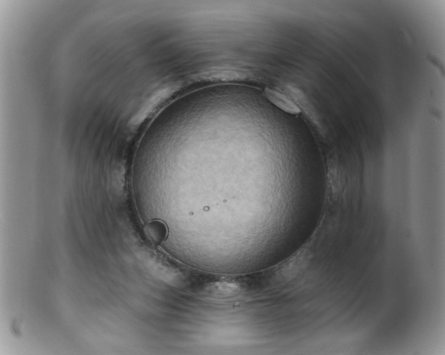 X0000099380159200805151627