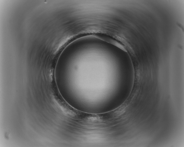 X0000099380160200805151627