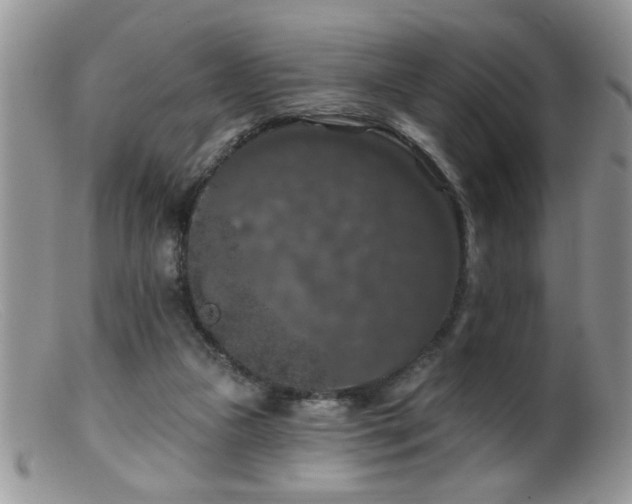 X0000099380161200805151627